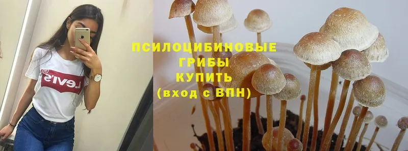 Галлюциногенные грибы Magic Shrooms  OMG онион  Переславль-Залесский 